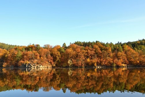 Fall Foliage Package